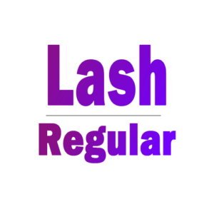 Miami Premier Lash Technician Expert Service